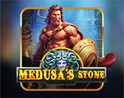 Medusa`s Stone